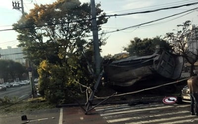 덤프트럭 가로수 들이받고 인도로 넘어져…"부상자 파악 중"