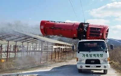 국내에 철새 약 40만 마리 유입…"AI 방역에 총력"