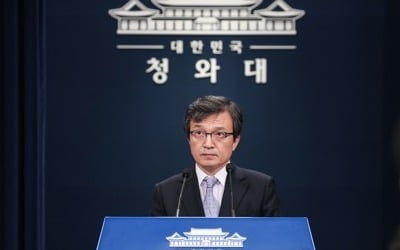 '2차 북미정상회담 내년초 개최' 볼턴 발언에 靑 "지켜보는 중"