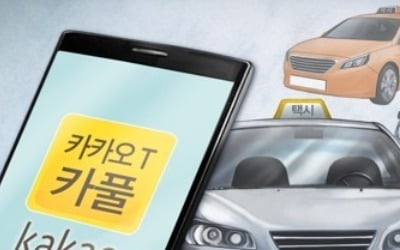 카풀·탄력근로 제대로 손 못댄 정부…현대車신사옥 논의도 모호