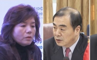 "'대북제재 완화' 북중러 성명, 北요청으로 유엔 회람"