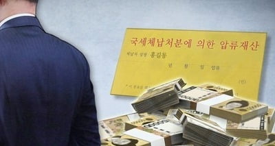 '알고보니 땅부자'…은닉재산 신고로 지난해 세금 88억 추징