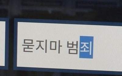 인천서 또 정신질환자 '묻지마' 범죄…흉기로 캠핑객 협박