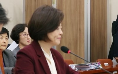 여야, 가정폭력 대책 촉구 한목소리…진선미 "제도 샅샅이 정비"