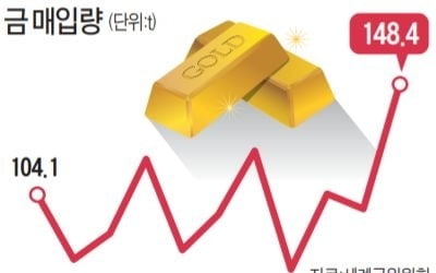 중앙은행 金 사재기…달러값 천장 찍었나