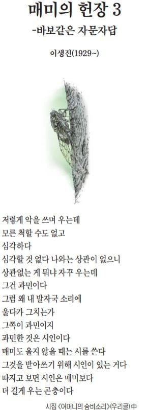 [이 아침의 시] 매미의 헌장 3 - 이생진(1929~)