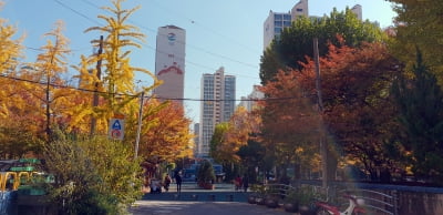 [얼마집] 36년 된 영등포 역세권 '문래국화아파트' … 전용 84㎡ 8.3억원