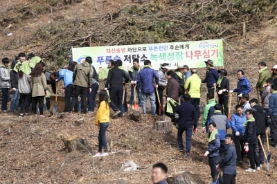 천안시, ‘500만그루 나무심기 녹색프로젝트’ 본격화