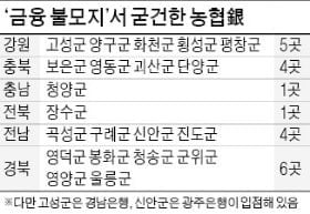 '금융 사각지대' 울릉도 58년째 지키는 농협銀