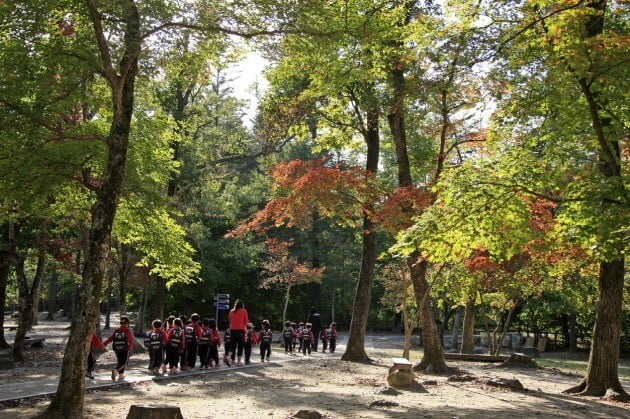 산림청, 11월의 국유림 명품숲 ‘광릉숲’ 선정