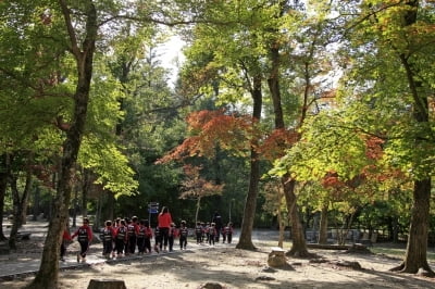 산림청, 11월의 국유림 명품숲 '광릉숲' 선정