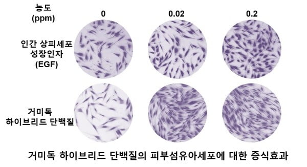 ㈜넥스젠바이오텍, 거미독 하이브리드 단백질(Spider Venom Hybrid) 미국 특허 획득