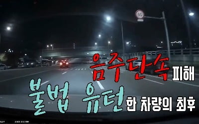 [블랙 드라이버] 음주운전 단속 피하려던 차량의 최후