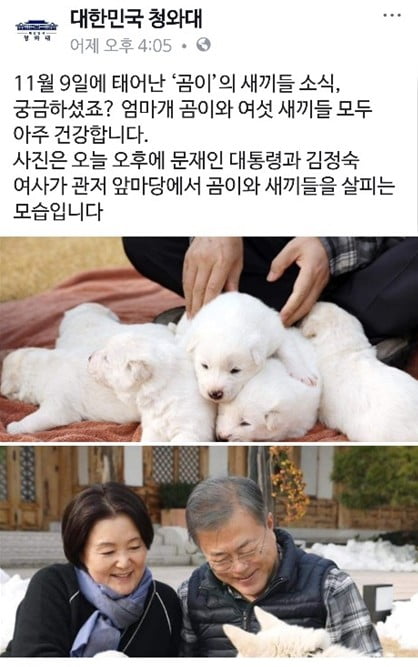 청와대 페이스북