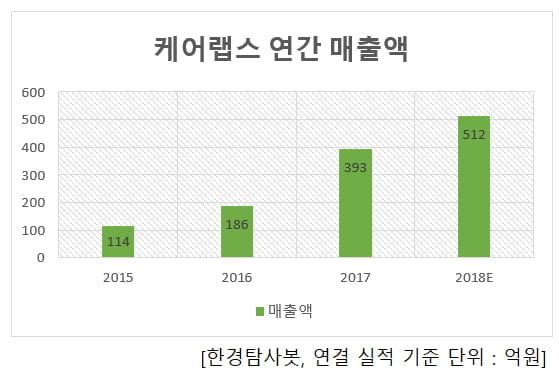 케어랩스 연간 매출액