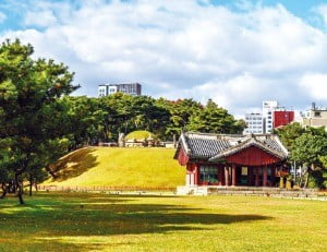 유네스코 세계유산인 선정릉  