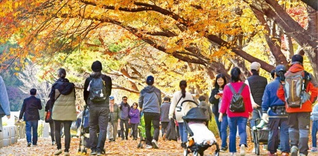 낙엽 밟으며 만추를… 