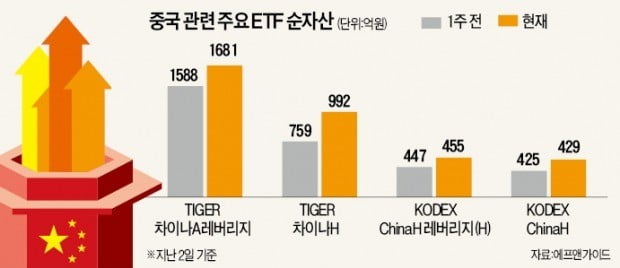 변동성 커진 증시…개인 투자자 '백태'