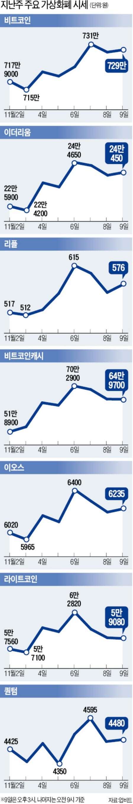 비트코인캐시 하드포크…새 화폐 BSV 나온다