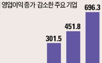 국내외 경기 둔화·신흥국 환율 불안에…韓 간판기업들까지 실적 '흔들'