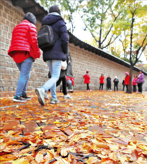 [배시원 쌤의 신나는 영어여행] 해(연도)와 관련된 영어 표현들