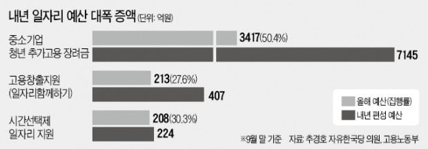 절반도 못써놓고…고용장려금 또 7145억 투입