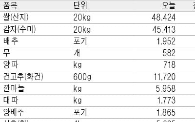 [농수산물 시세] 김장 배춧값 오르고 무는 내려