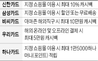 "블프 특수 잡아라"…카드사들 할인·무료배송 경쟁