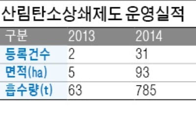 CO2 줄이고 탄소 거래권 얻고…나무 심는 기업들