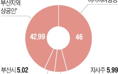 '취항 10년' 에어부산…6번째 상장 항공사 도전한다