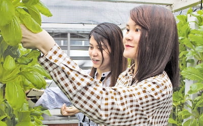 中 선전 쓰레기업체 사장의 기발한 '농업 스타트업' 창업