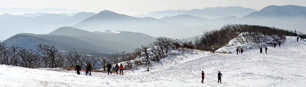 강원 강릉과 평창의 경계에 있는 선자령의 눈꽃 트레킹