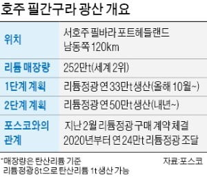 '여의도 162배' 광산서 리튬 캐는 포스코