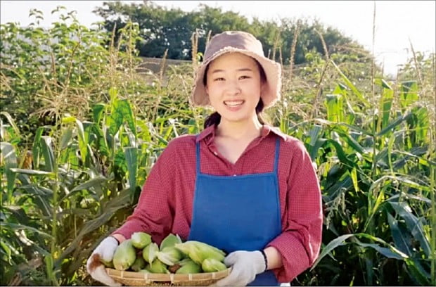 "건강한 밥상 '채소 소믈리에'가 책임집니다"