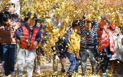 석촌호수에서 열리는 단풍&낙엽 축제