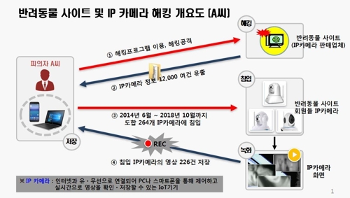 IP카메라로 사생활 엿본 남성들…반려동물 키우는 독신여성 타깃