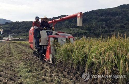 쌀목표가 정부안 18만8192원…"실질적으론 19만4000원"