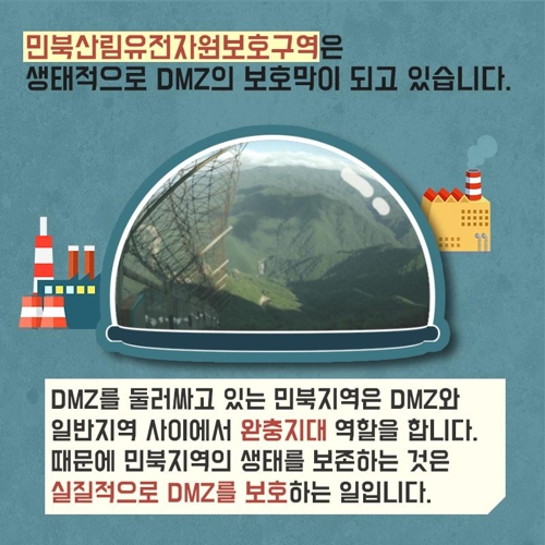 민통선 이북 산림보호림, 여의도 240배…"DMZ 보호 첫걸음"