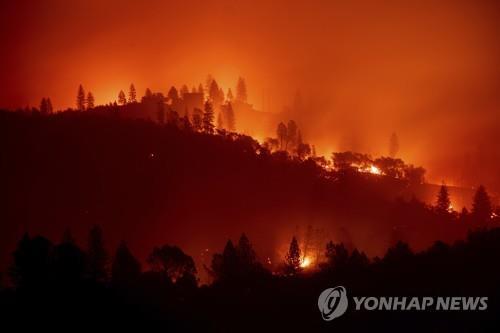 美 캘리포니아 산불 사망자 31명으로 늘어…"연락두절 228명"