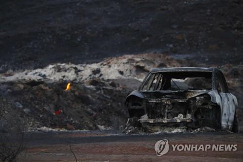 美 캘리포니아 산불 사망자 31명으로 늘어…"연락두절 228명"