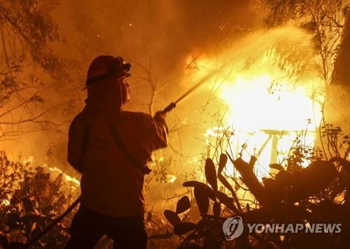 美 북캘리포니아 산불 사망자 7명 늘어 총 63명…실종 600여명