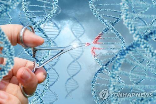 중국 과학자들, '인간 배아 유전자 편집'에 "미친 짓"