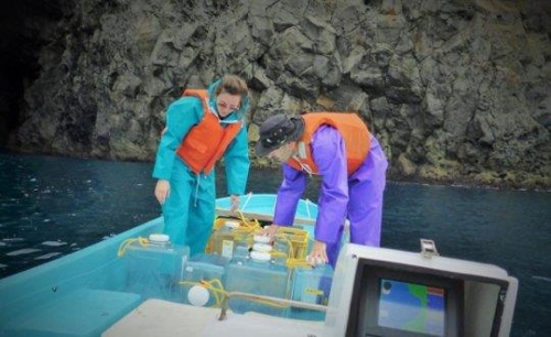 "수백만년 걸쳐 이뤄진 CO2 증가 한 세기 만에 진행 중"