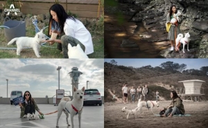 &#39;개묘한 여행&#39; 윤진서, 반려견과 함께한 여행 사진 공개