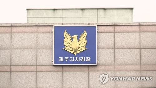 자치경찰-국가경찰 조화가 관건…업무중복·사각지대 우려도