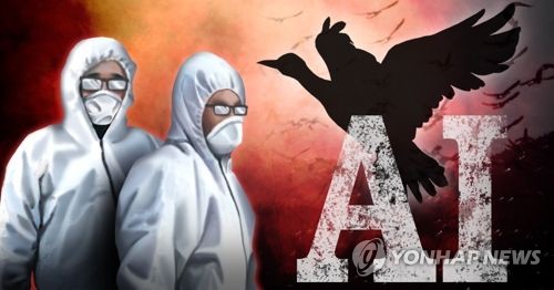 AI 바이러스 속속 검출…충남 아산 야생조류 분변서도 나와