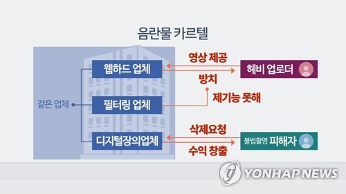 웹하드 카르텔·불법촬영 100일 집중단속에 3600명 검거