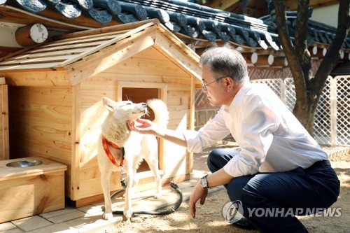 北 선물 풍산개 새끼 출산…문대통령 "남북관계 이와 같길"