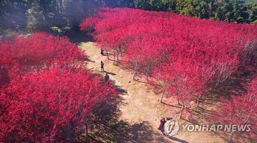 '오색빛깔 단풍 구경가자'…전국에 행락 인파 북적