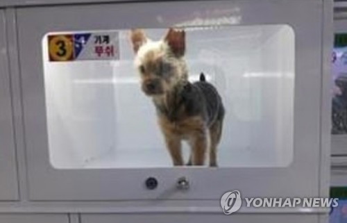 인형뽑기 기계 속 강아지 인증샷…경찰 "동물학대 적용 어려워"